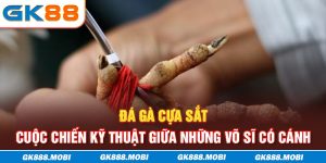 đá gà cựa sắt