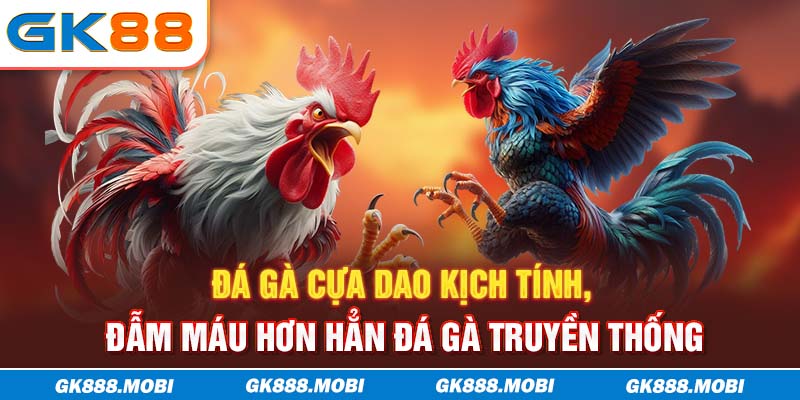 Đá gà cựa dao kịch tính, đẫm máu hơn hẳn đá gà truyền thống