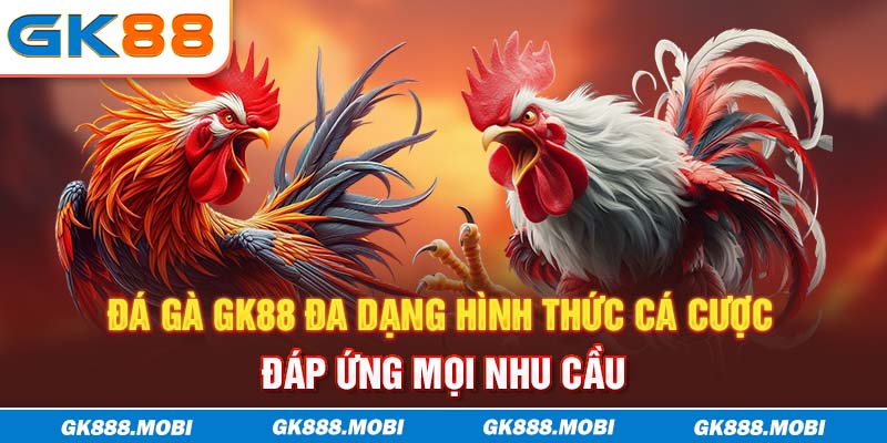 Đá gà GK88 đa dạng hình thức cá cược đáp ứng mọi nhu cầu