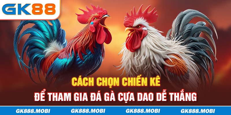Cách chọn chiến kê để tham gia đá gà cựa dao dễ thắng