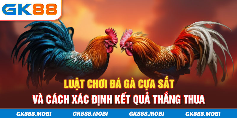 Luật chơi đá gà cựa sắt và cách xác định kết quả thắng thua