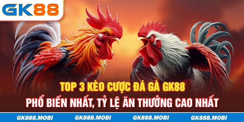 Top 3 kèo cược đá gà GK88 phổ biến nhất, tỷ lệ ăn thưởng cao nhất