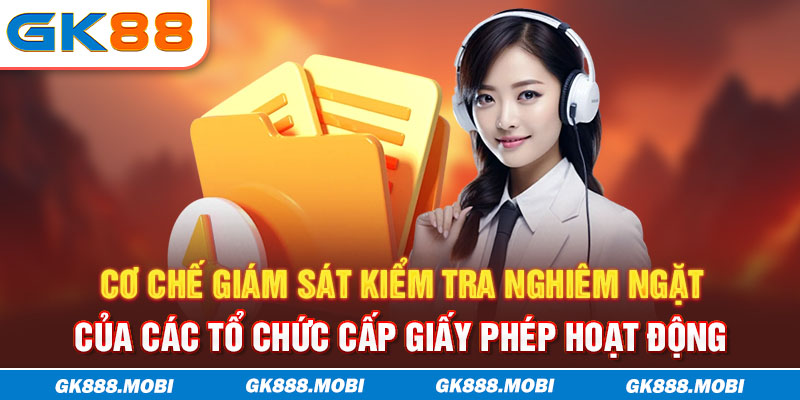 Cơ chế giám sát kiểm tra nghiêm ngặt của các tổ chức cấp giấy phép hoạt động