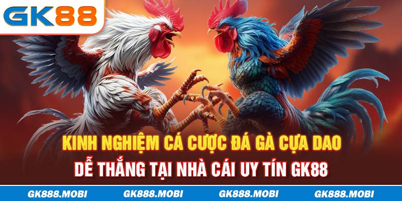 Kinh nghiệm cá cược đá gà cựa dao dễ thắng tại nhà cái uy tín GK88